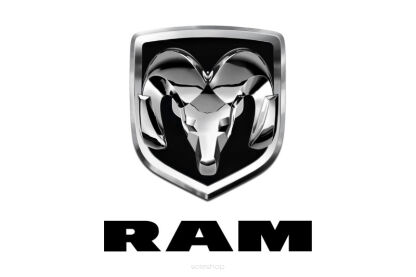 RAM